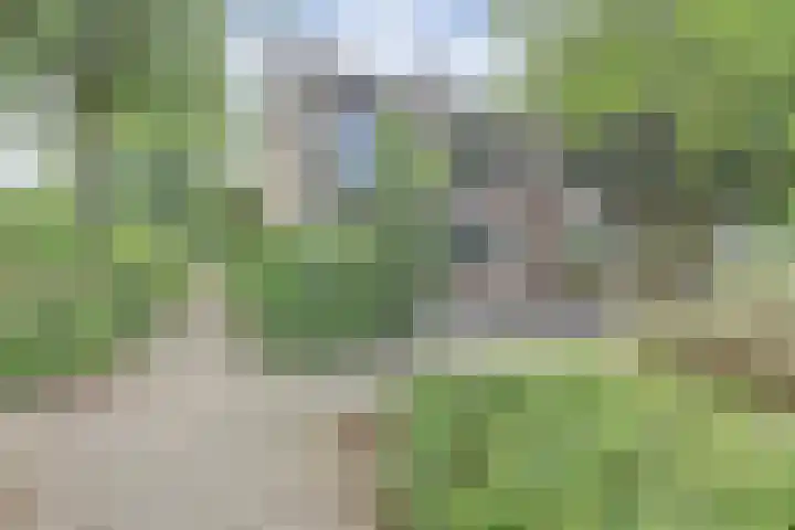 De la Reystraat 65 Ermelo thumbnail 5