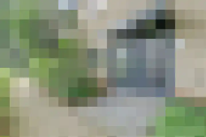 De la Reystraat 65 Ermelo thumbnail 6