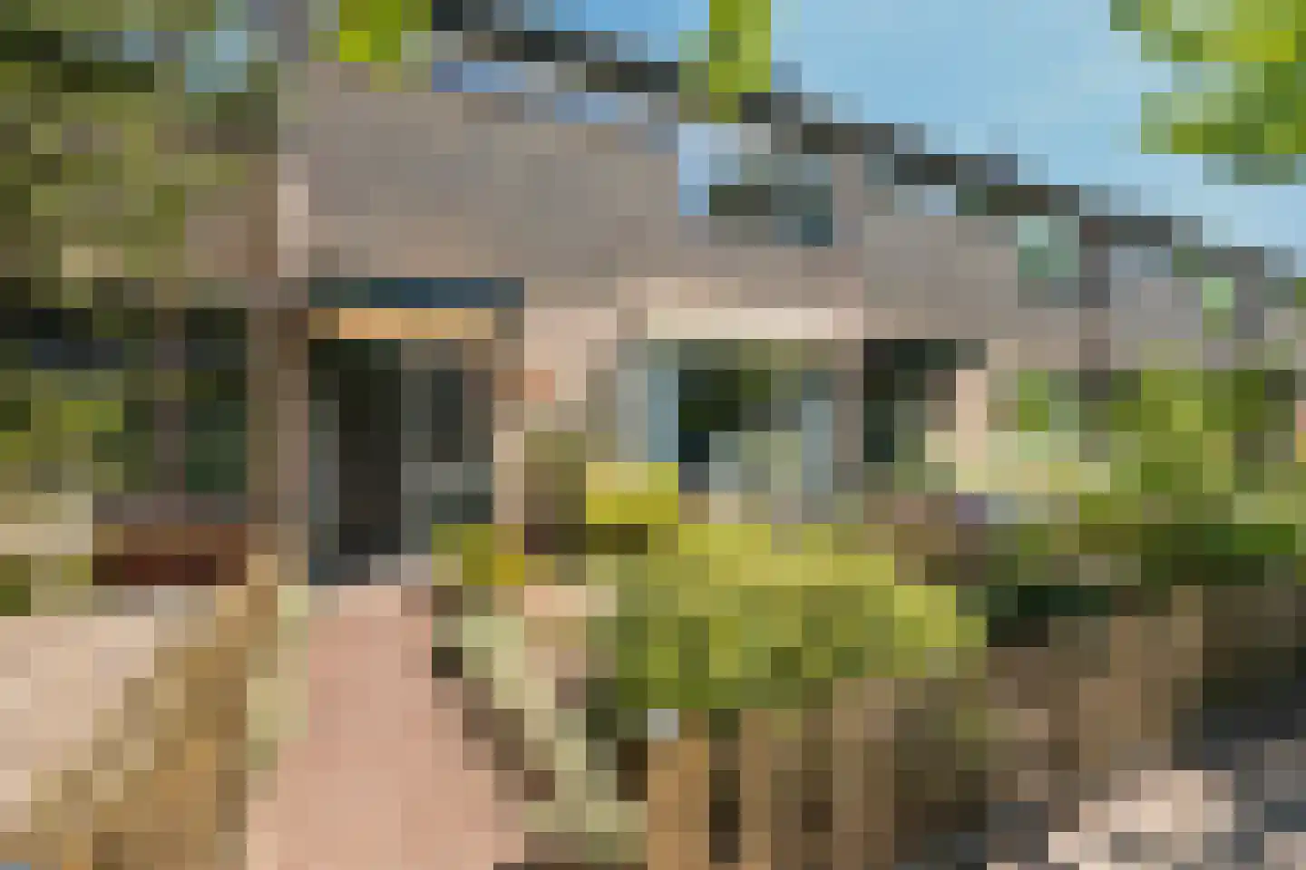 De la Reystraat 71 Ermelo thumbnail 14