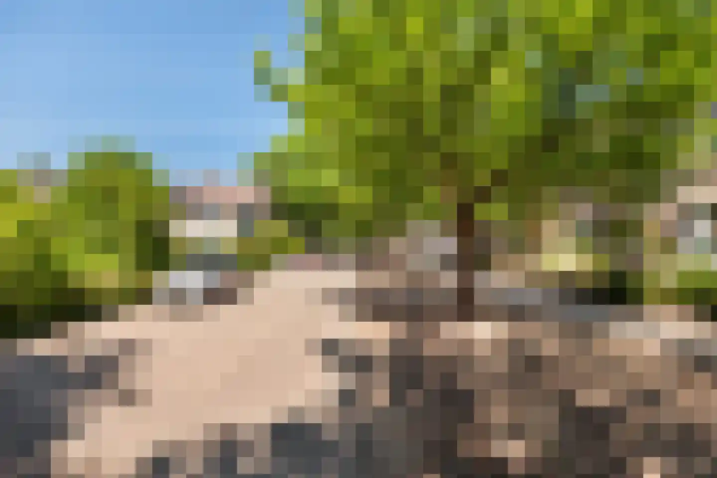 De la Reystraat 71 Ermelo thumbnail 32
