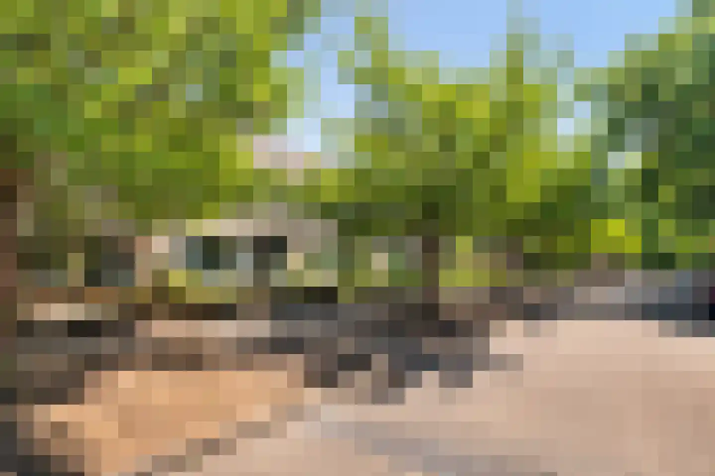 De la Reystraat 71 Ermelo thumbnail 33