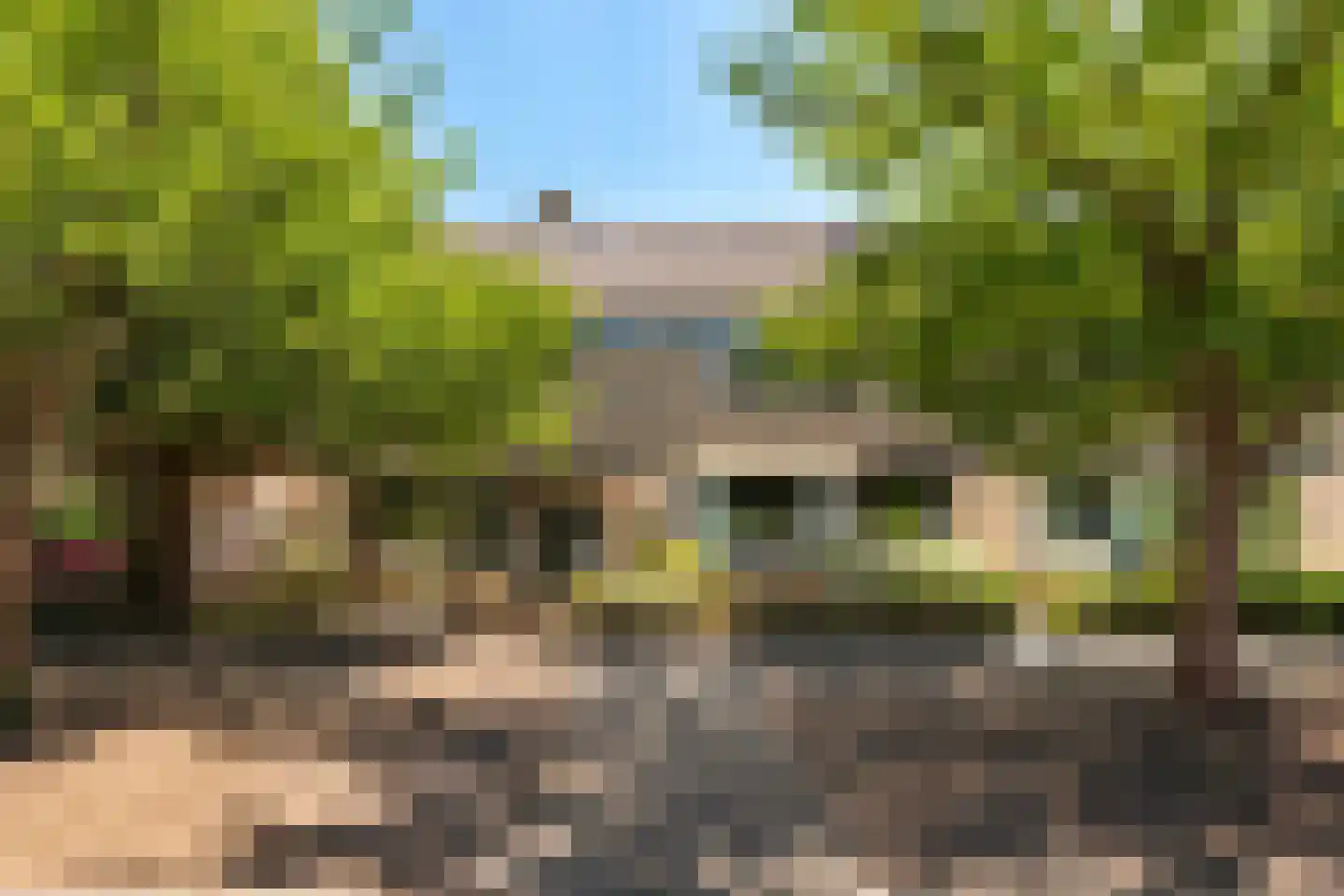 De la Reystraat 71 Ermelo thumbnail 4