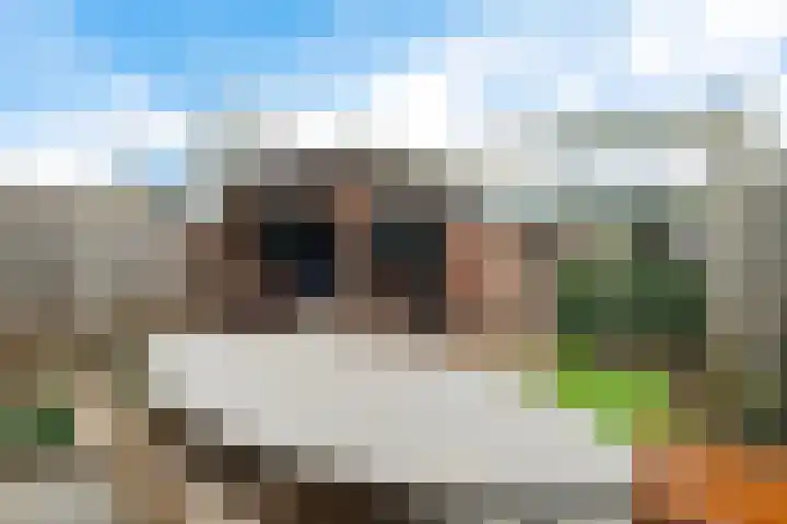 De la Reystraat 75 Ermelo thumbnail 34