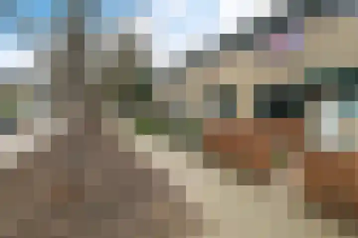 De la Reystraat 75 Ermelo thumbnail 5