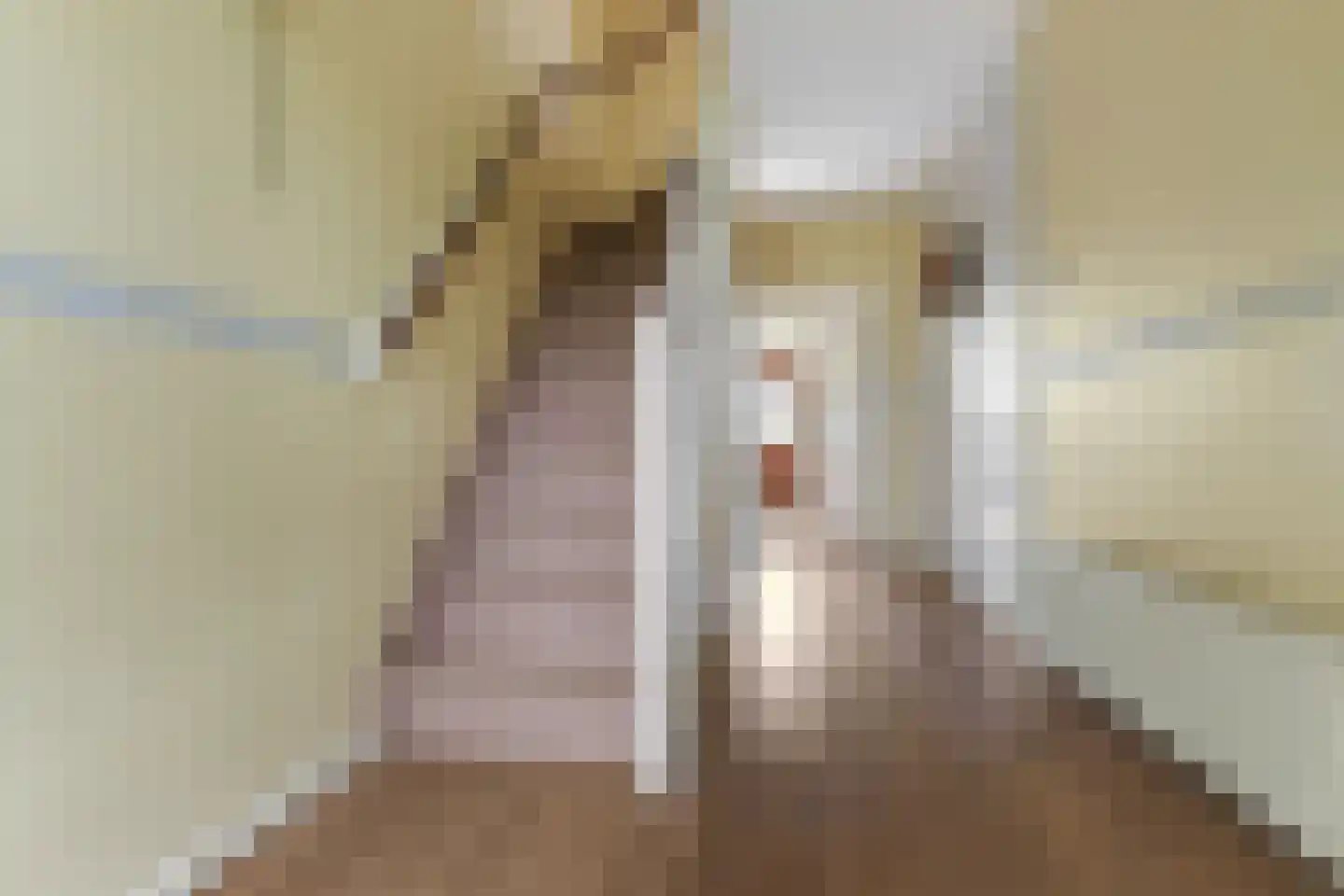 De la Reystraat 78 Ermelo thumbnail 7