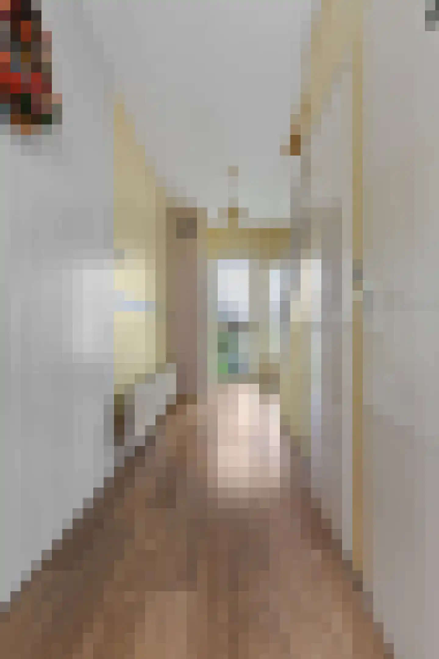 De la Reystraat 78 Ermelo thumbnail 8