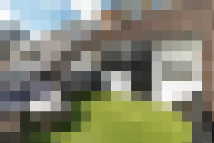 De la Reystraat 84 Ermelo thumbnail 26