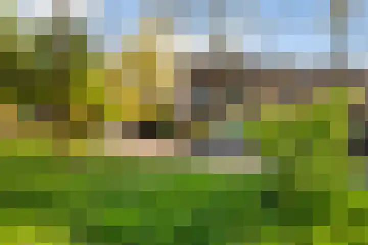 De la Reystraat 84 Ermelo thumbnail 32
