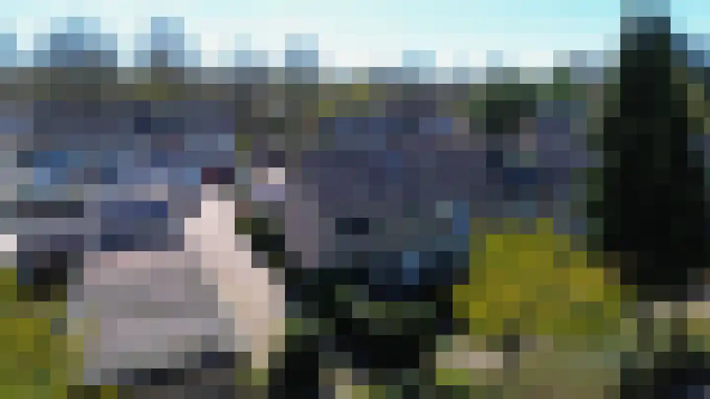 De la Reystraat 9 Ermelo thumbnail 41