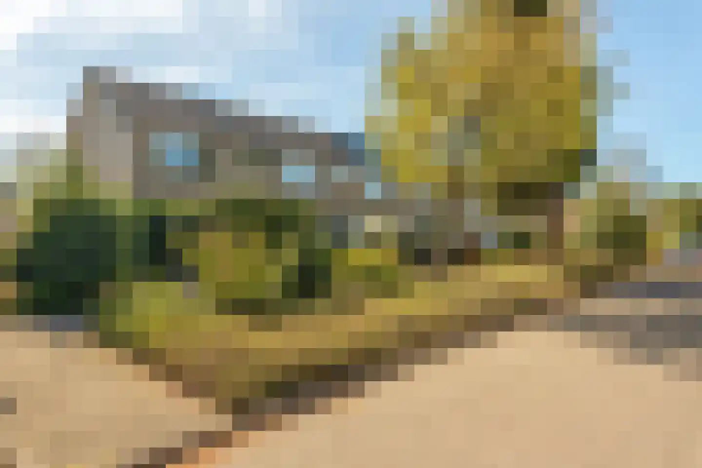 De la Reystraat 9 Ermelo thumbnail 5