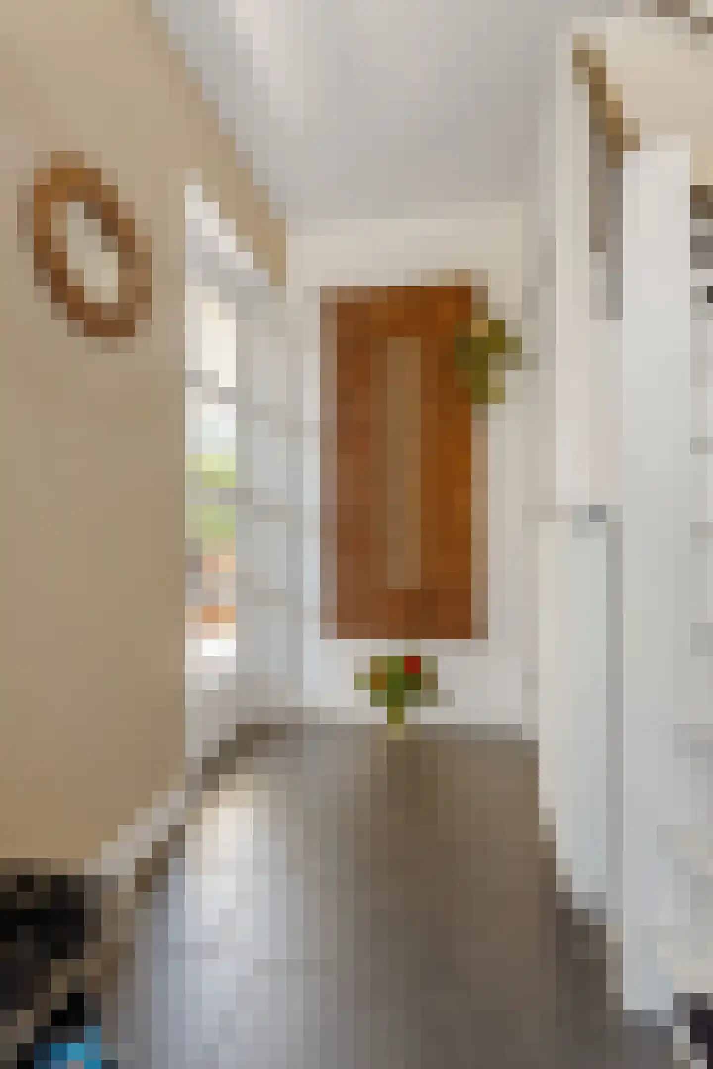 De la Reystraat 9 Ermelo thumbnail 6