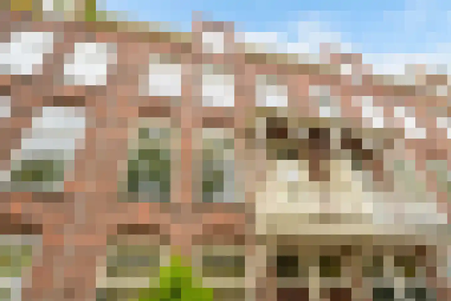 De la Reyweg 22 Den Haag thumbnail 22
