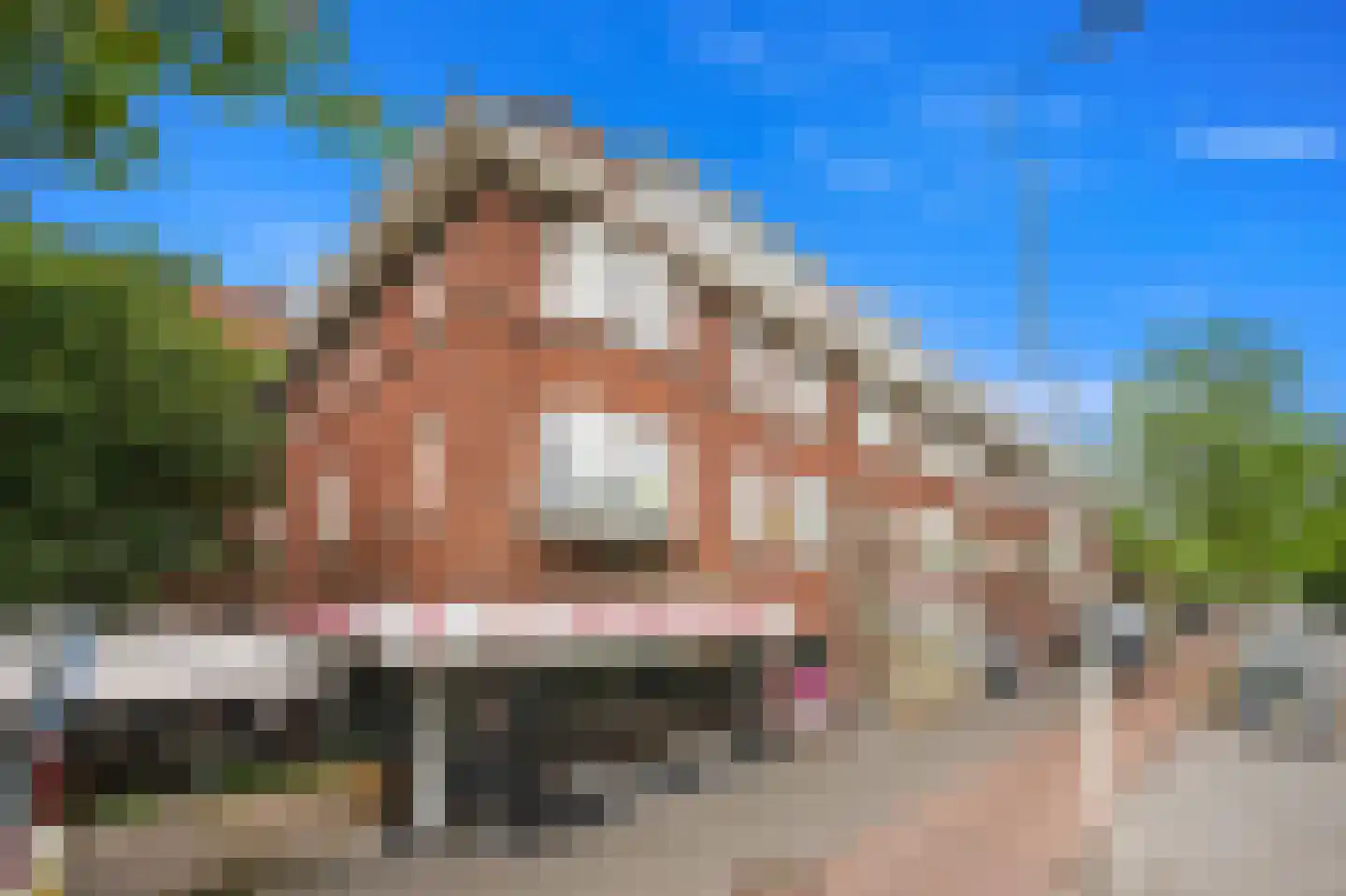 De la Reyweg 237 Den Haag thumbnail 8