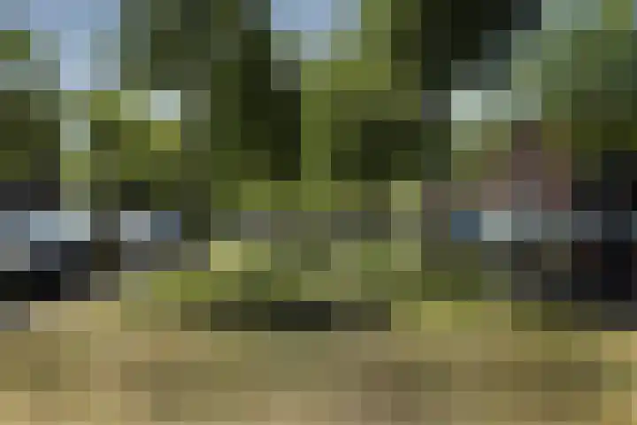 De la Reyweg 265 Den Haag thumbnail 31