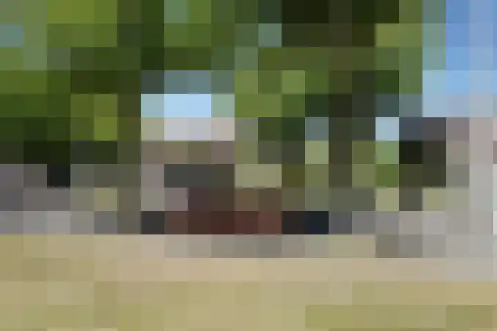 De la Reyweg 265 Den Haag thumbnail 32