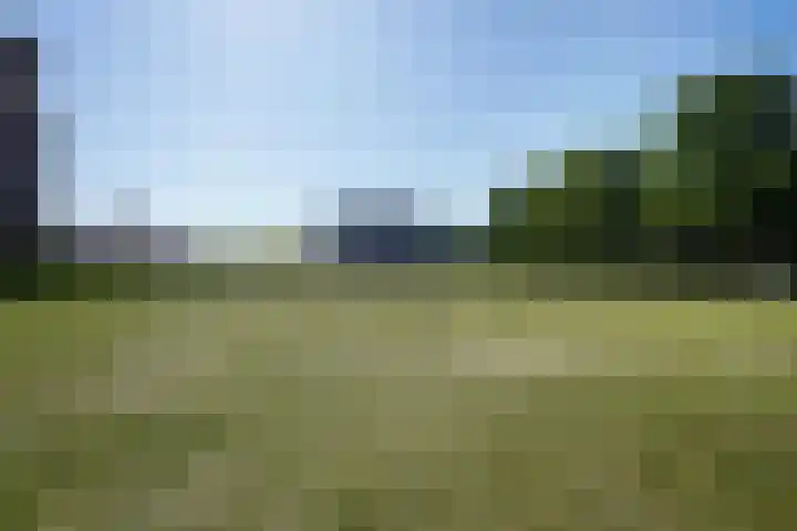 De la Reyweg 265 Den Haag thumbnail 35