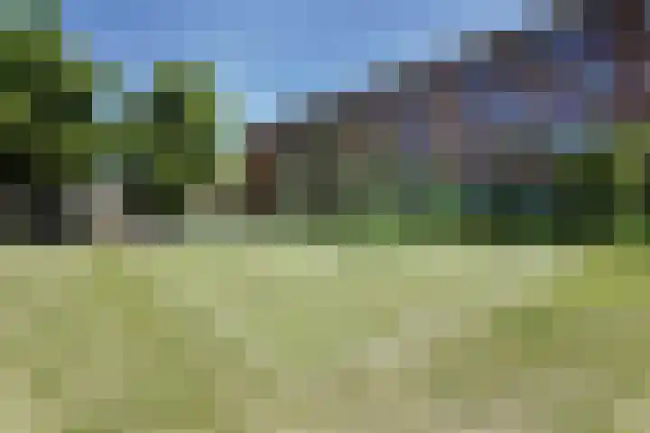 De la Reyweg 265 Den Haag thumbnail 36