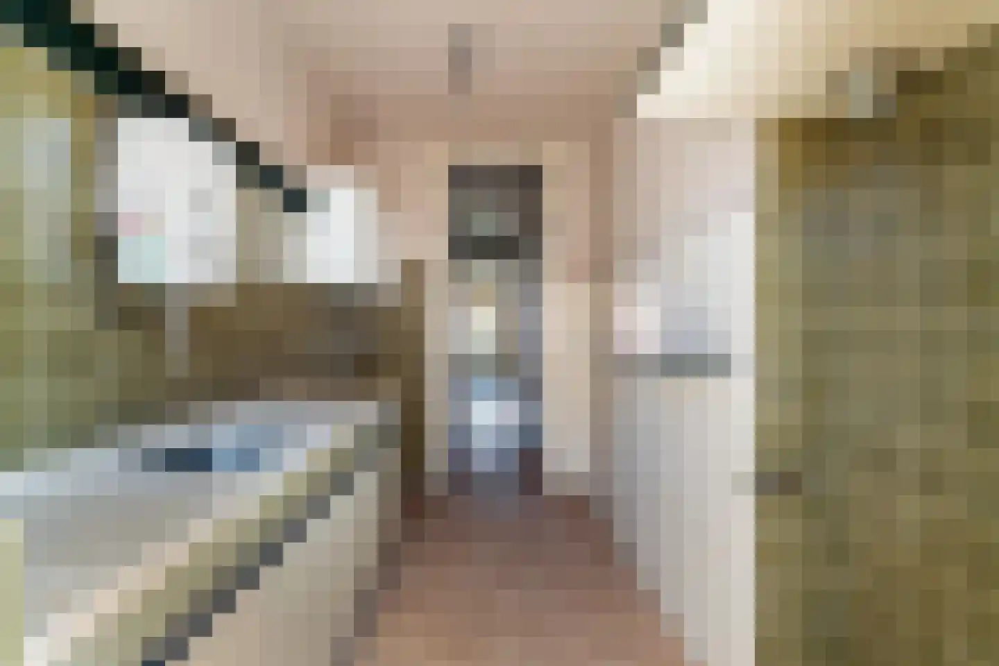 De la Reyweg 747 Den Haag thumbnail 7