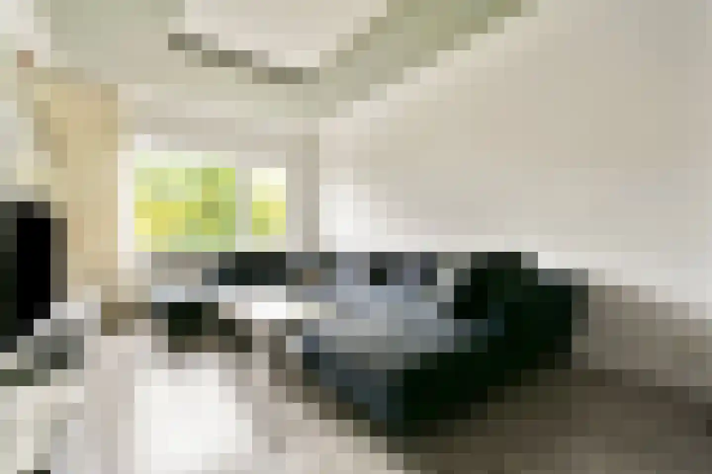 De la Reyweg 799 Den Haag thumbnail 7