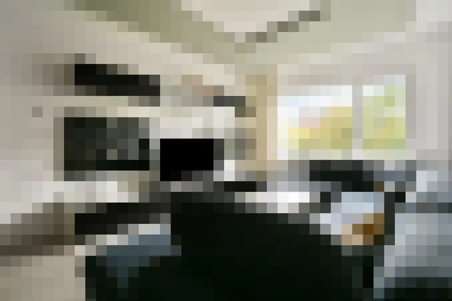 De la Reyweg 799 Den Haag thumbnail 8