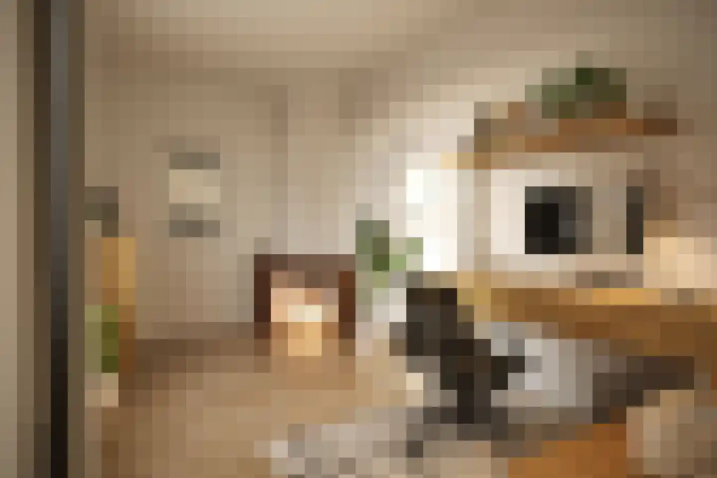 de la Sablonièrekade 19 Kampen thumbnail 6
