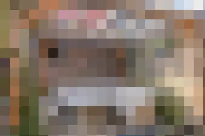 de la Sablonièrekade 28 Kampen thumbnail 66