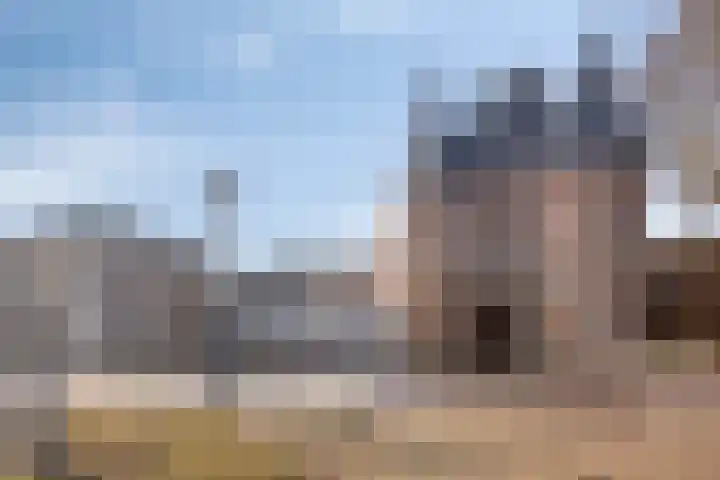 de la Sablonièrekade 28 Kampen thumbnail 79