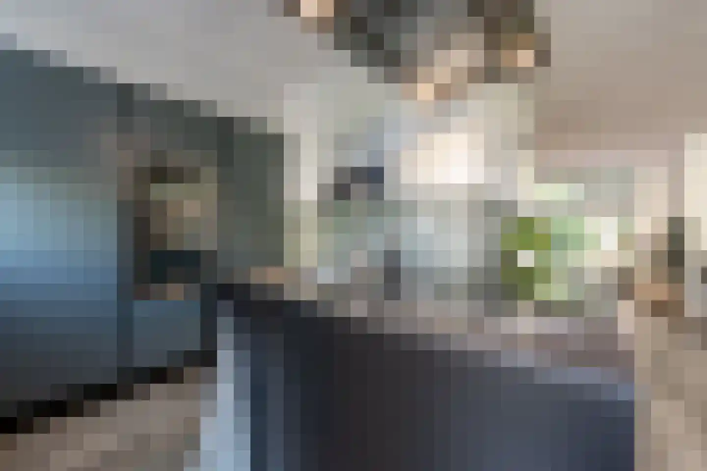 De Laagjes 15 Heinenoord thumbnail 17