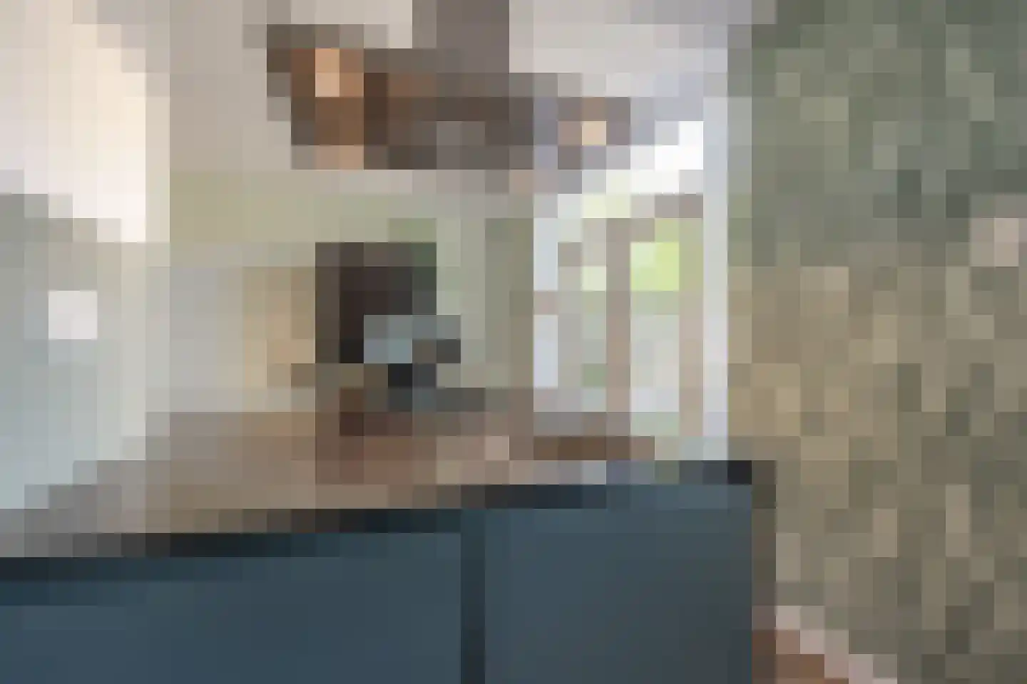 De Laagjes 15 Heinenoord thumbnail 20