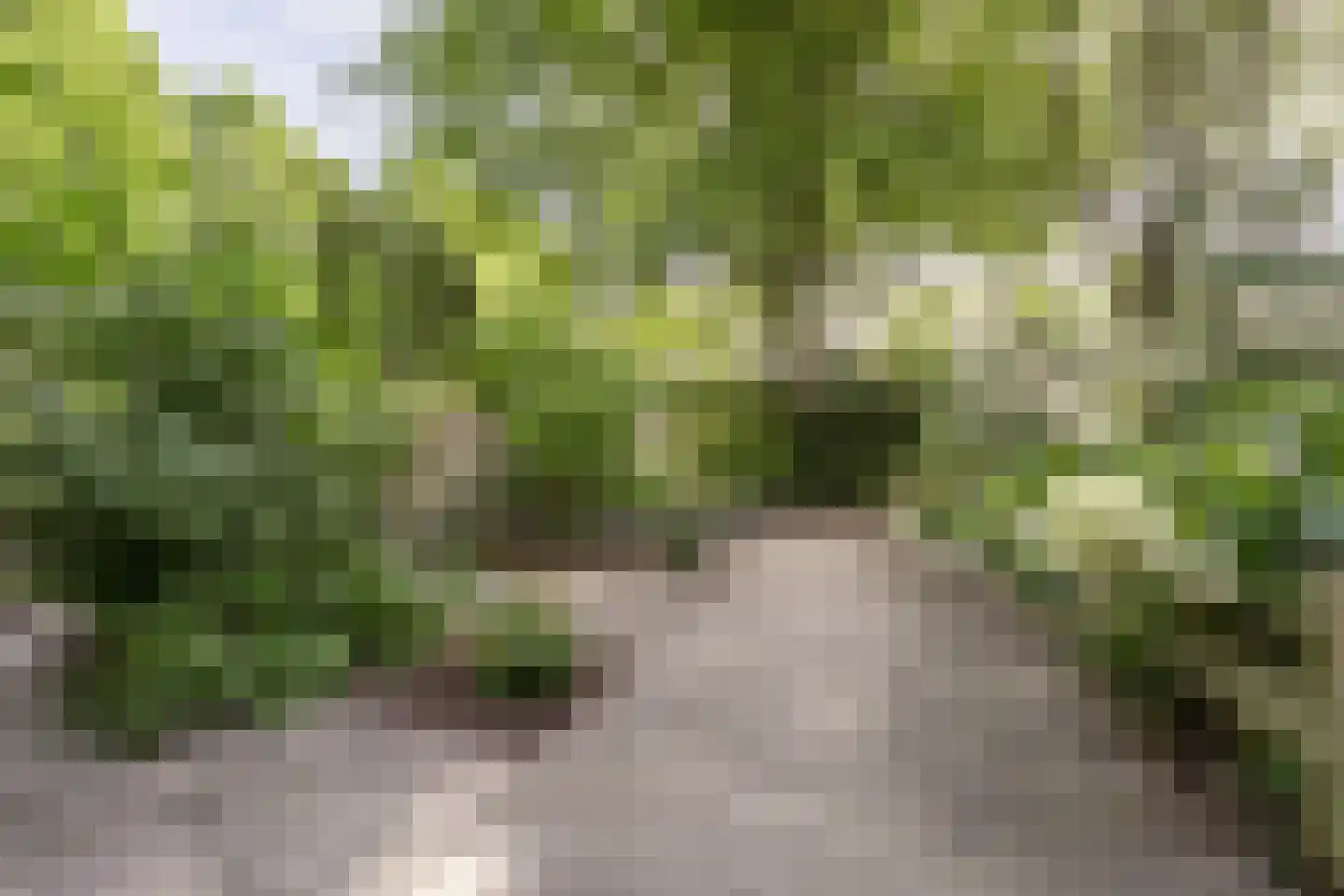De Laagjes 15 Heinenoord thumbnail 5