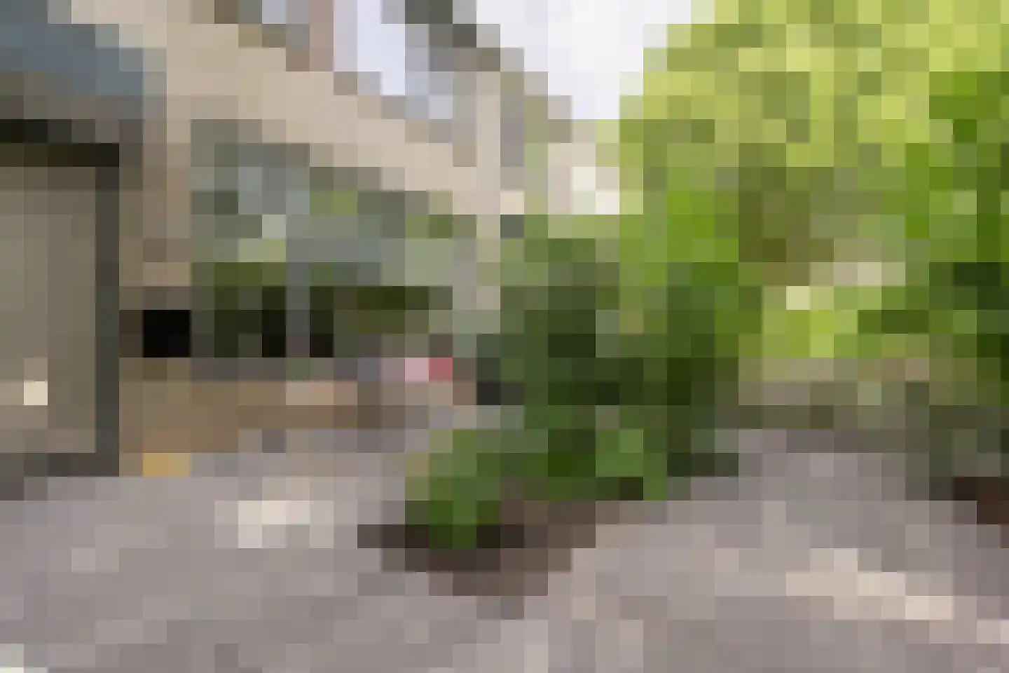 De Laagjes 15 Heinenoord thumbnail 6