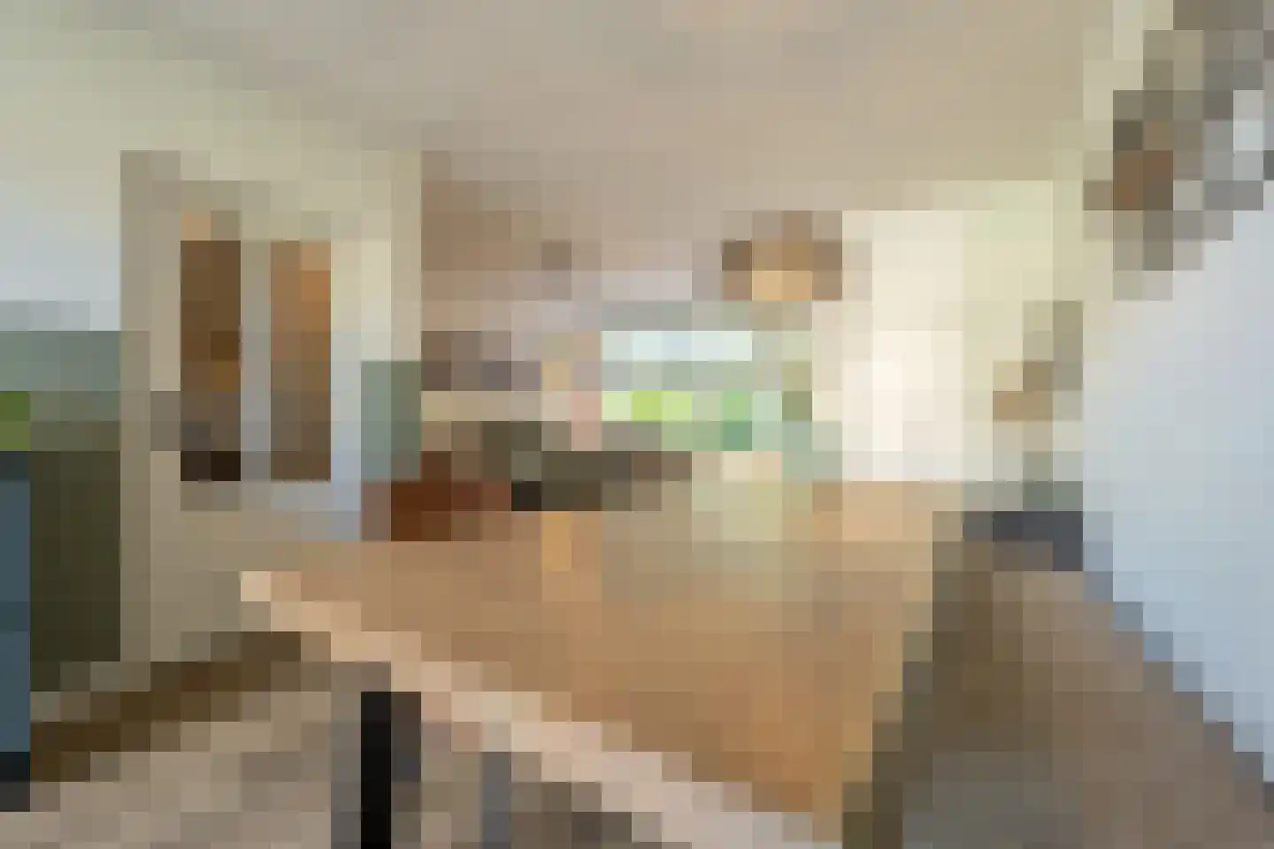 De Laagjes 15 Heinenoord thumbnail 9