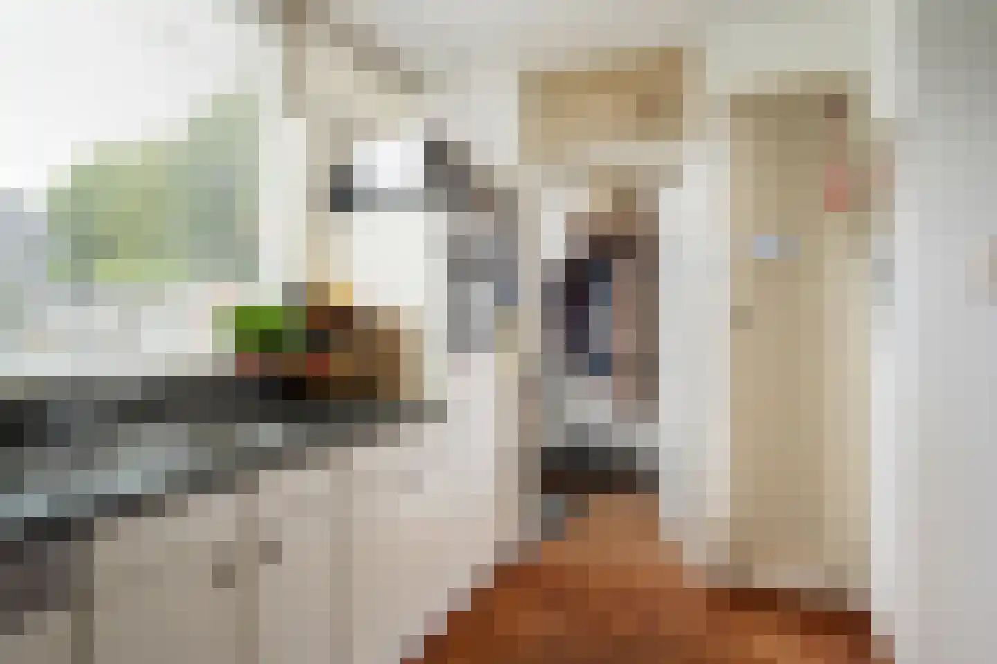 De Laagjes 3 Heinenoord thumbnail 13