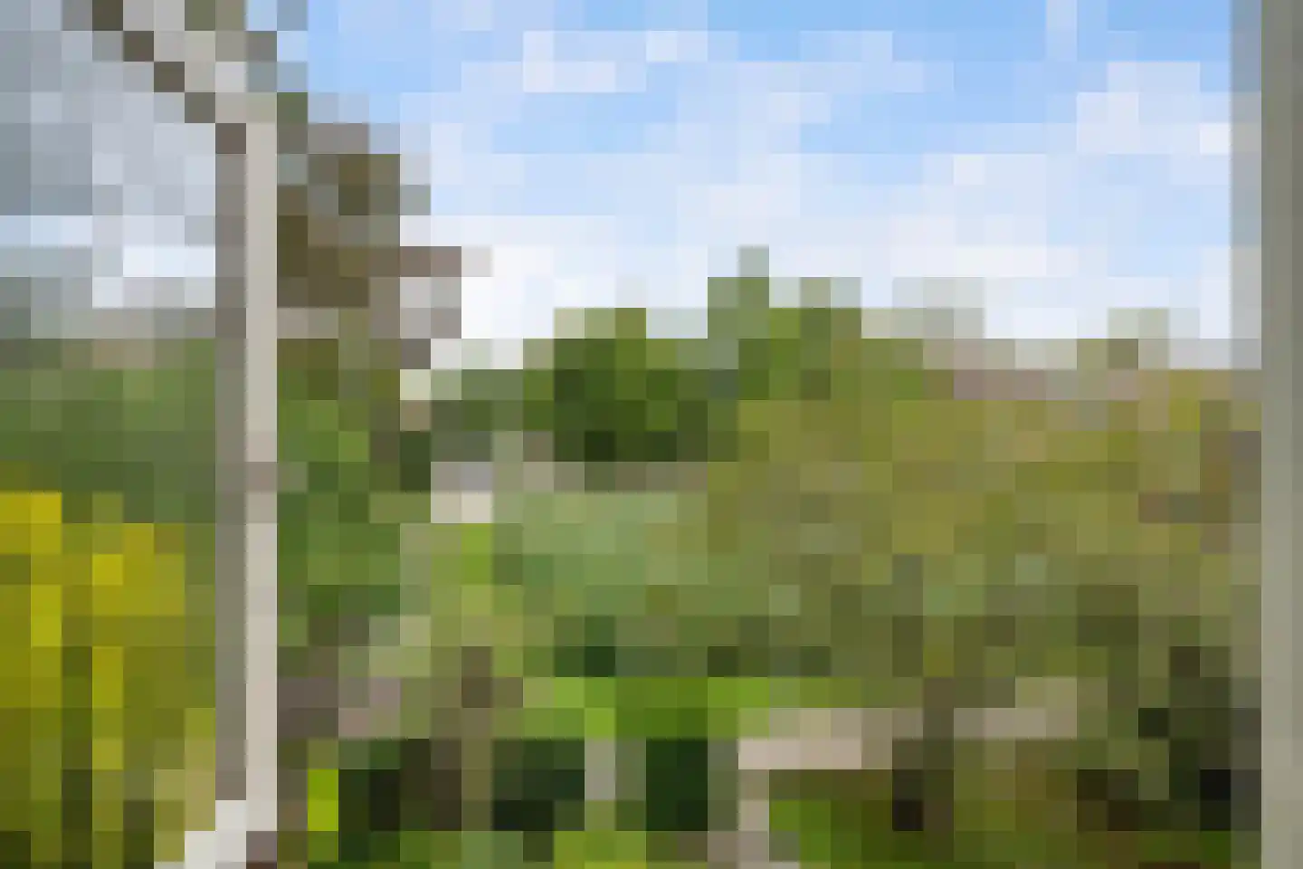 De Laagjes 3 Heinenoord thumbnail 30