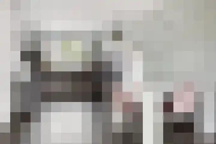 De Laagjes 32 Heinenoord thumbnail 10