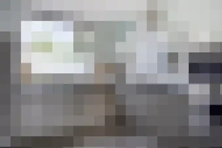De Laagjes 32 Heinenoord thumbnail 12
