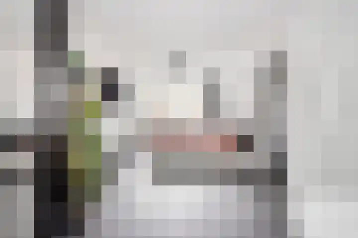 De Laagjes 32 Heinenoord thumbnail 16