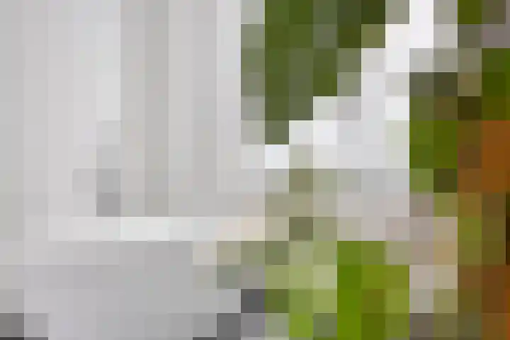 De Laagjes 32 Heinenoord thumbnail 20