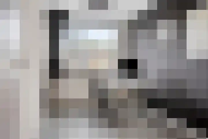De Laagjes 32 Heinenoord thumbnail 23