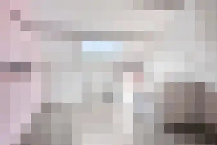 De Laagjes 32 Heinenoord thumbnail 25
