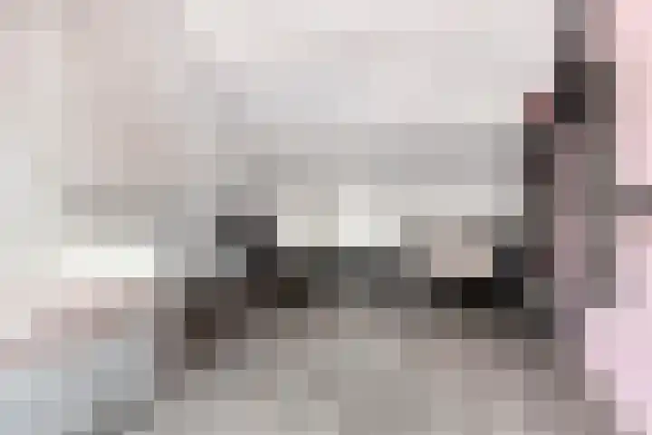 De Laagjes 32 Heinenoord thumbnail 26