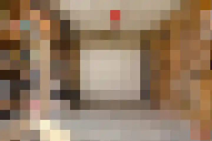 De Laagjes 32 Heinenoord thumbnail 28