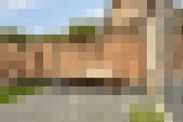 De Laagjes 32 Heinenoord thumbnail 30