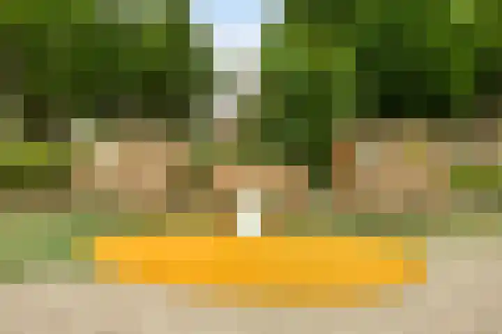 De Laagjes 32 Heinenoord thumbnail 31