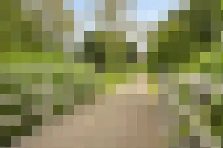 De Laagjes 32 Heinenoord thumbnail 32