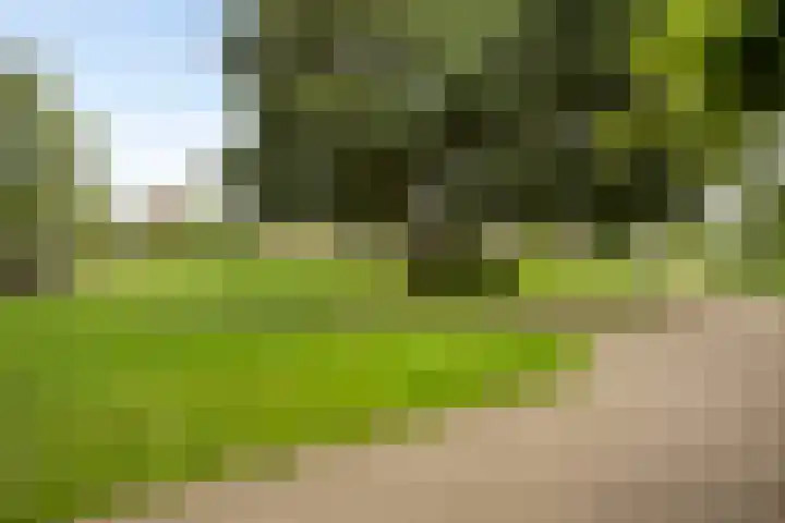 De Laagjes 32 Heinenoord thumbnail 33