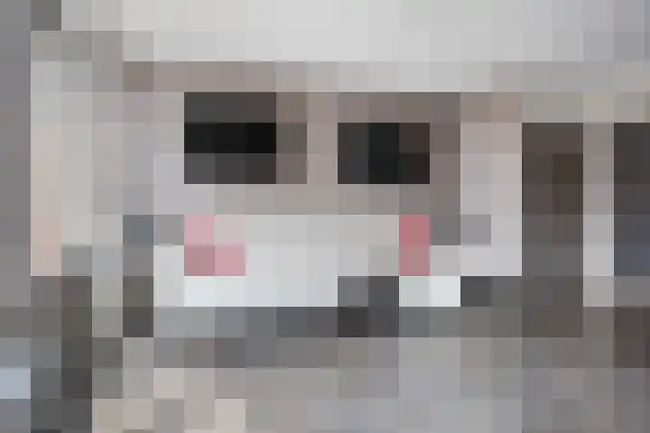 De Laagjes 32 Heinenoord thumbnail 8