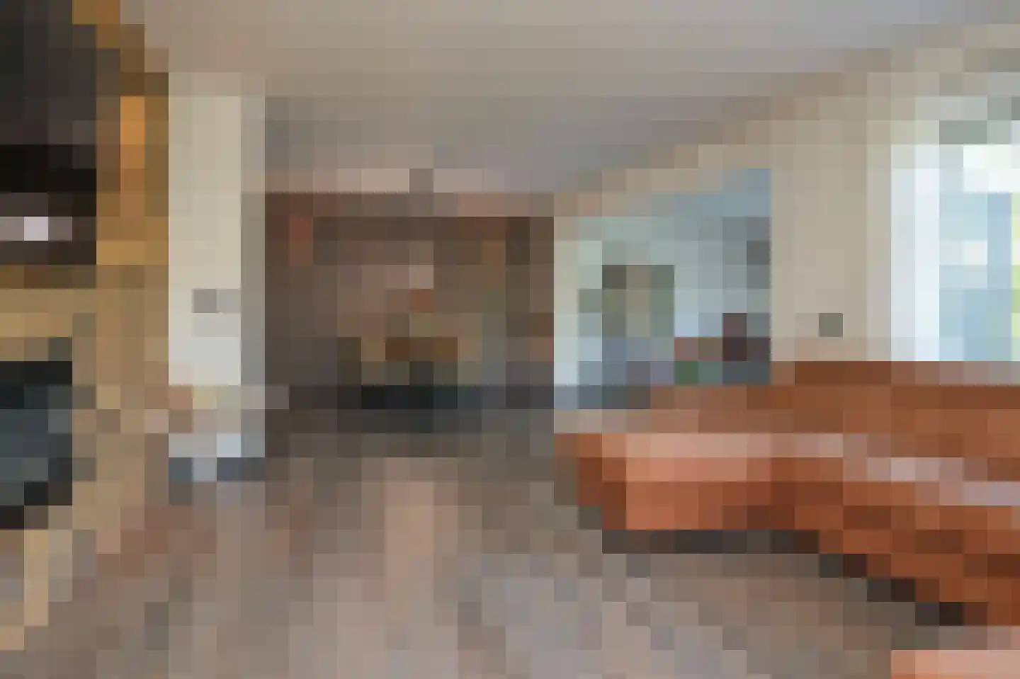 de Laak 18 Dreumel thumbnail 11