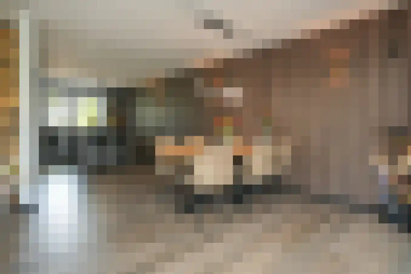 de Laak 18 Dreumel thumbnail 13