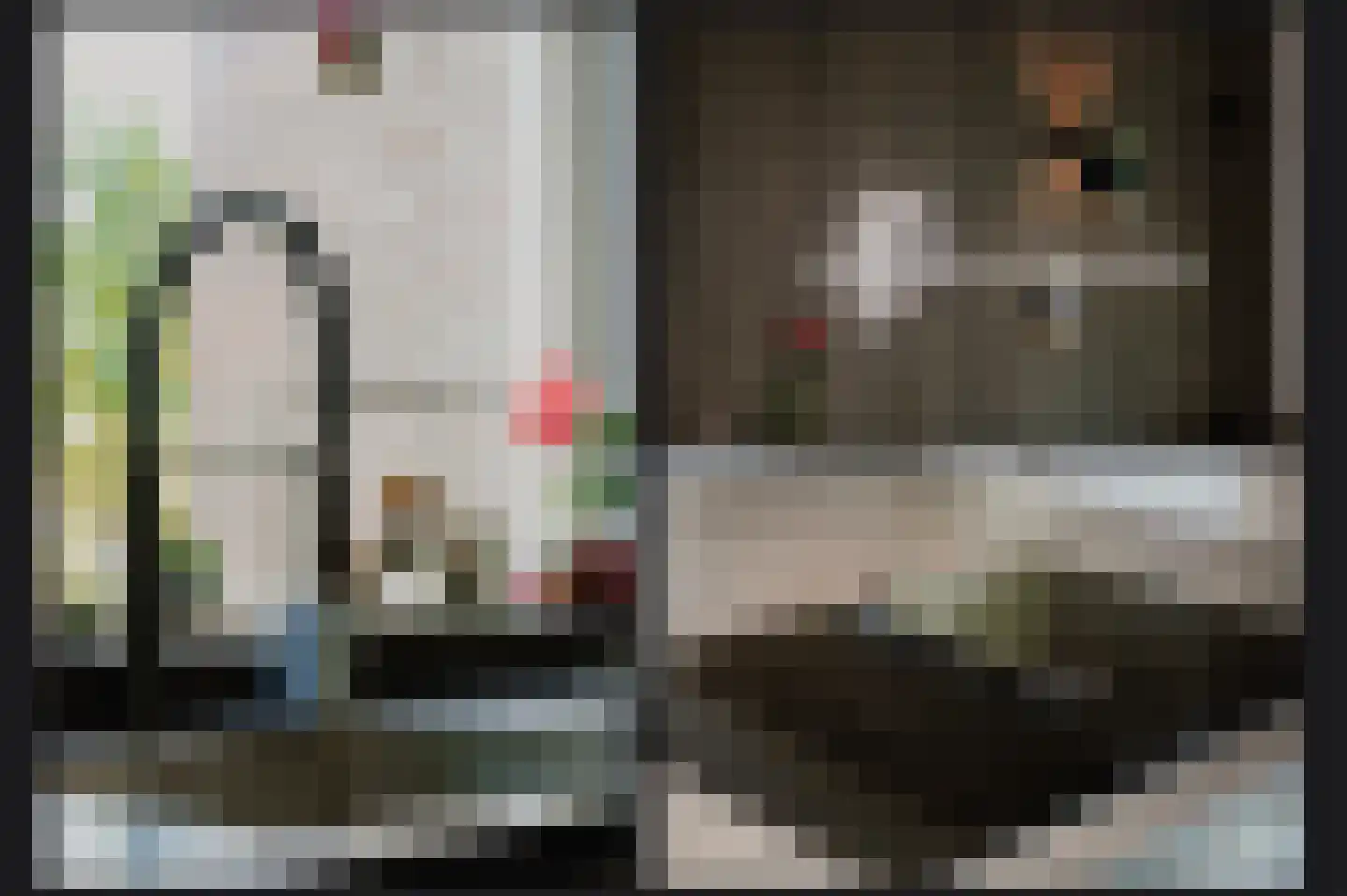 de Laak 18 Dreumel thumbnail 16